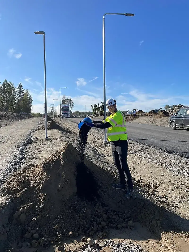 Foto: Joel Hällgren, projektledare på Skellefteå kommun, häller ned biokol i en grop som är förberedd inför planteringen av träden som syns i bakgrunden. Biokolen produceras på plats av stubbar.